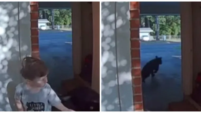 Dječak (4) iza&scaron;ao iz kuće i skoro se sudario s - mladuncem medvjeda! Pogledajte kako su reagirali