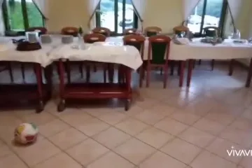 Mladi nogometaš Dinama zabija i u restoranu