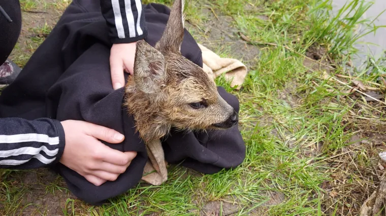 Heroj iz Međimurja: Bez oklijevanja je skočio u hladnu i muljevitu Muru i spasio lane od sigurne smrti