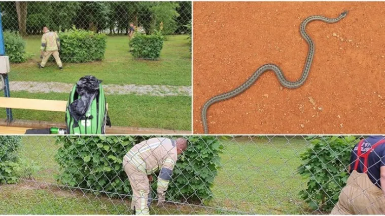 'Uletjela' je u servis-polje umjesto loptice, a kasnije zavr&scaron;ila u autu (grmlju)