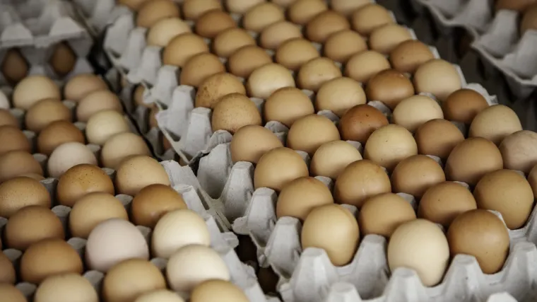 Napokon znamo treba li birati boju prema načinu pripreme