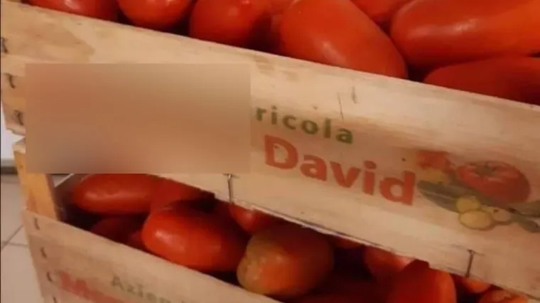 Natpis na gajbi rajčica u Dalmaciji danas je najveći hit na Fejsu