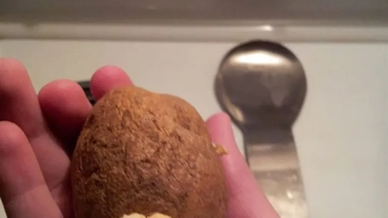 MOŽDA BISTE MOGLI PROVJERITI STANJE U &Scaron;PAJZI: Zaboravili na krumpire pa su im se osvetili invazijom