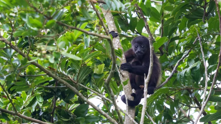 '&Scaron;to vi&scaron;e u zadiremo u prirodu, bit će sve gore'