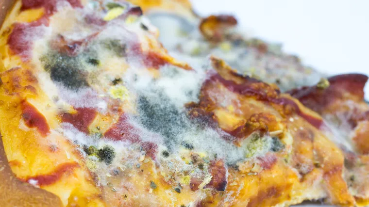 Izbori dolaze, &scaron;to ćete odlučiti? Zar biste u restoranu svaki put naručivali jedno te isto jelo makar vam je od njega zlo?