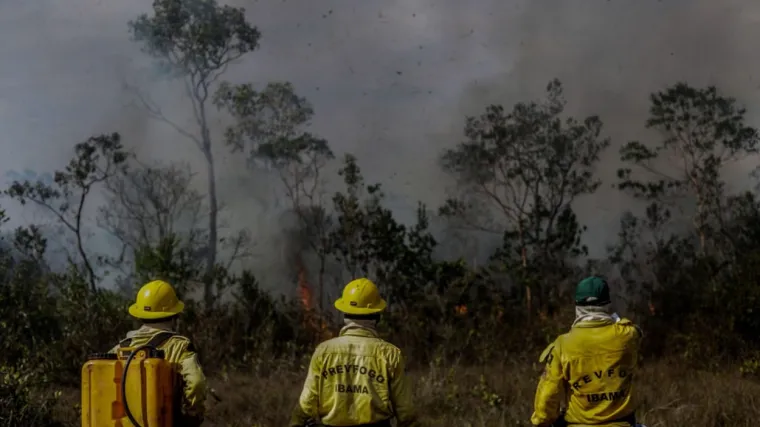 Brazilska Amazona doživljava najgore šumske požare u zadnjih 13 godina