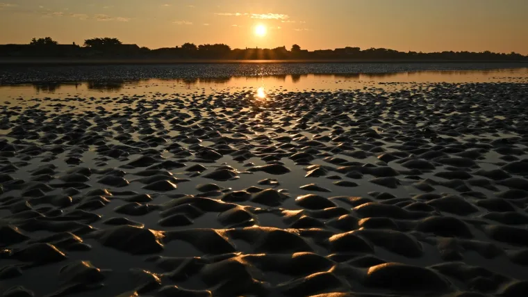 UV ZRAČENJE IPAK UBIJA VIRUS? No, znanstvenici otkrivaju zašto je distanca i dalje bolja prevencija