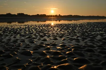 UV ZRAČENJE IPAK UBIJA VIRUS? No, znanstvenici otkrivaju zašto je distanca i dalje bolja prevencija