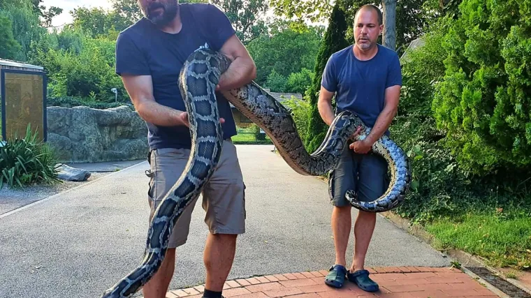 Prestravio je osoblje bolnice, a i susjed je imao problema