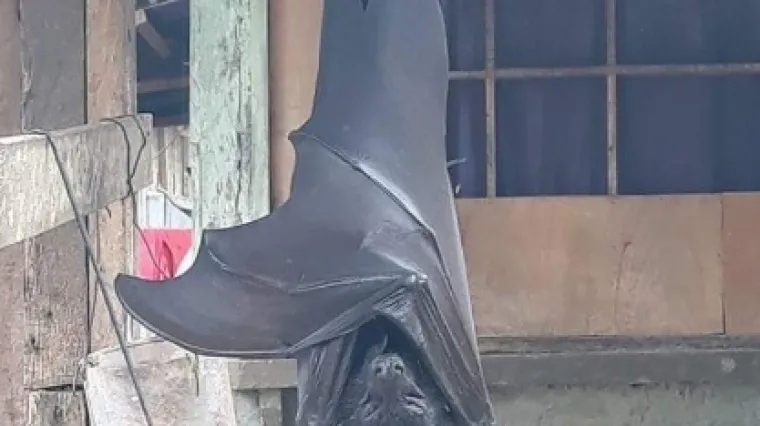 Nažalost, ovaj monstrum, stvarno postoji. Doviđenja