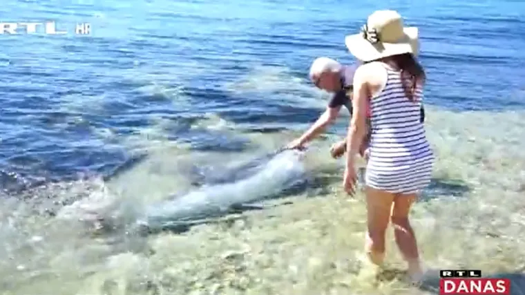 Dupin odu&scaron;evio kupače: Do&scaron;ao je u plićak i tražio da ga maze, a kad je to i dobio, otplivao je dalje