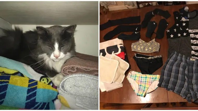 Kad je postavila nadzorne kamere, ostala je bez riječi