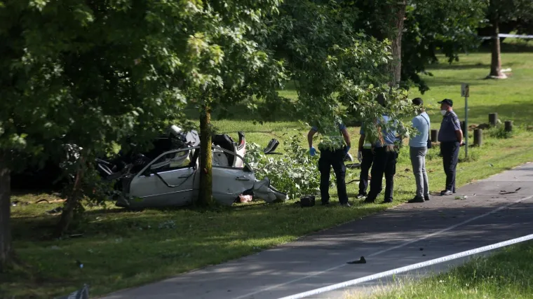 'Bila sam u &scaron;etnji sa psima. Čulo se ne&scaron;to kao detonacija'