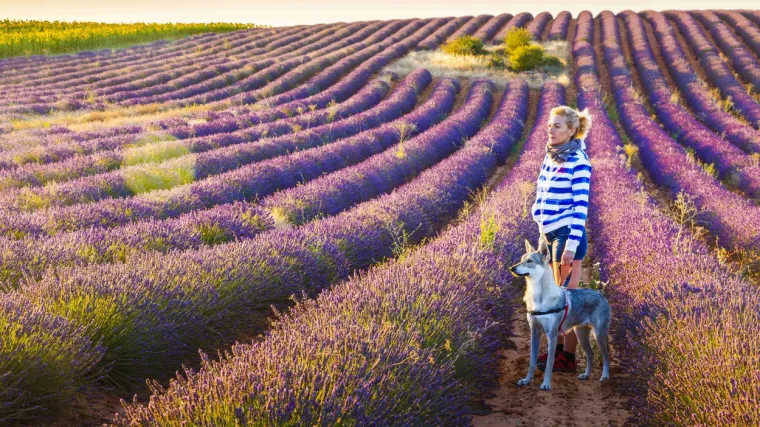 21-godi&scaron;njoj &Scaron;panjolki propalo ljetovanje u Hrvatskoj, pogledajte kako se sna&scaron;la