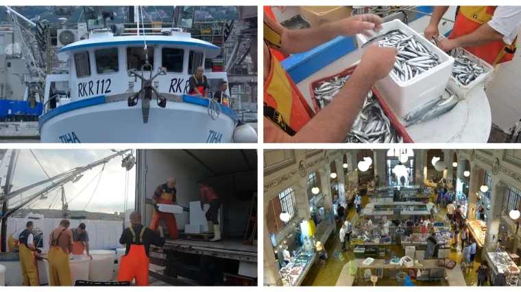 Izlov jednak kao i lani, RTL s ribarima od zore: 'Borili smo se'