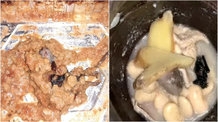 Obitelj u juhi prona&scaron;la &scaron;i&scaron;mi&scaron;a, ali jo&scaron; gore pro&scaron;la jedna Britanka: 'Povraćala sam 12 sati'