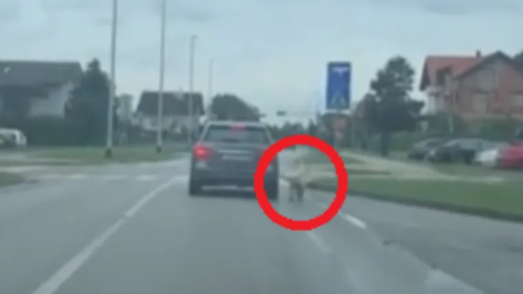 'Ostala sam užasnuta i odmah sam prijavila policiji. A oni su rekli da to nije nikakvo mučenje'