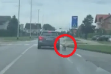 'Ostala sam užasnuta i odmah sam prijavila policiji. A oni su rekli da to nije nikakvo mučenje'