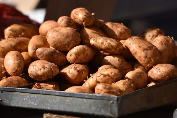 EK je zabranila upotrebu sredstva koje im je od ključne važnosti