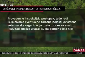 Pomor pčela u Međimurju: U samim pčelama nisu pronađeni tragovi pesticida