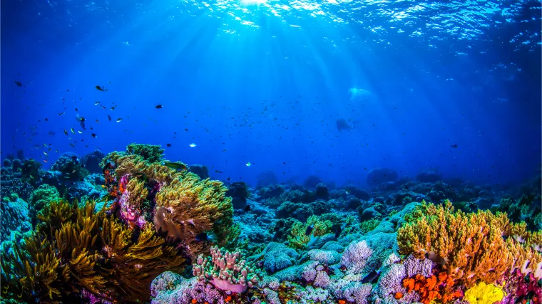 Znanstvenici 'oživjeli' organizme stare vi&scaron;e od 100 milijuna godina! 'Spremni su hraniti se'