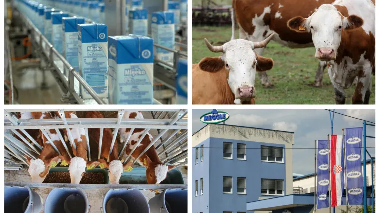 Meggle je početak: Nemamo dovoljno mlijeka, a za 20 godina domaća proizvodnja mogla bi nestati