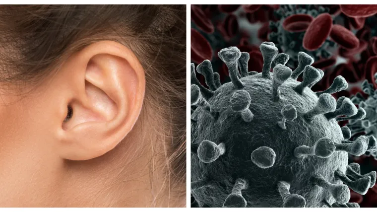 Otkriveno da se koronavirus može 'ugnijezditi' na vrlo neobičnom mjestu u na&scaron;em tijelu