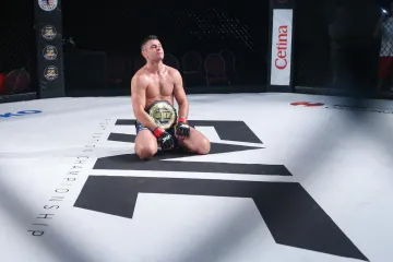 'Giljotina je bila svjetska. Umorio sam se udarajući Vasu'