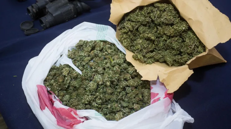 Na zadarskom području: Policija u kamionu prona&scaron;la vi&scaron;e od dva kilograma marihuane