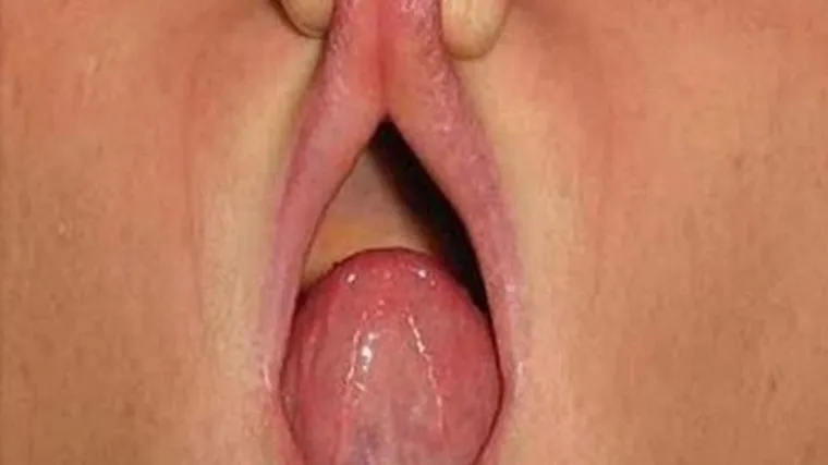 KOLIKO VAM JE PRLJAV UM? Za vas imamo lako moguće najteži test na svijetu, ako uspijete pogledati bez prljavih misli - čestitamo