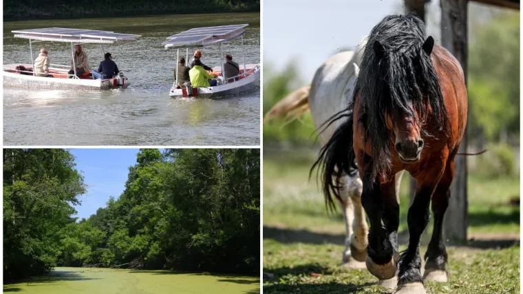 Ovako izgleda odmaranje u europskoj Amazoni