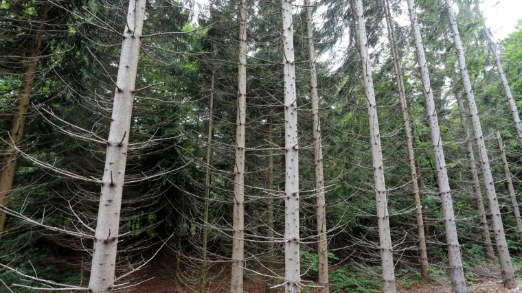 'Netko je htio poručiti 'E, nećeš tuda'