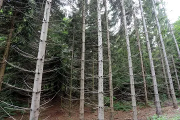 'Netko je htio poručiti 'E, nećeš tuda'