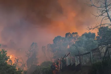 Vatrena stihija zahvatila &scaron;umu i izazvala tornado: 'Bilo je vruće, atmosferski nestabilno'