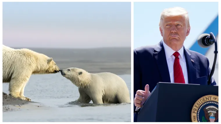 Trump dozvolio bu&scaron;enje nafte na za&scaron;tićenom prirodnom području na Aljasci: 'Dosegnuo je novo dno!'