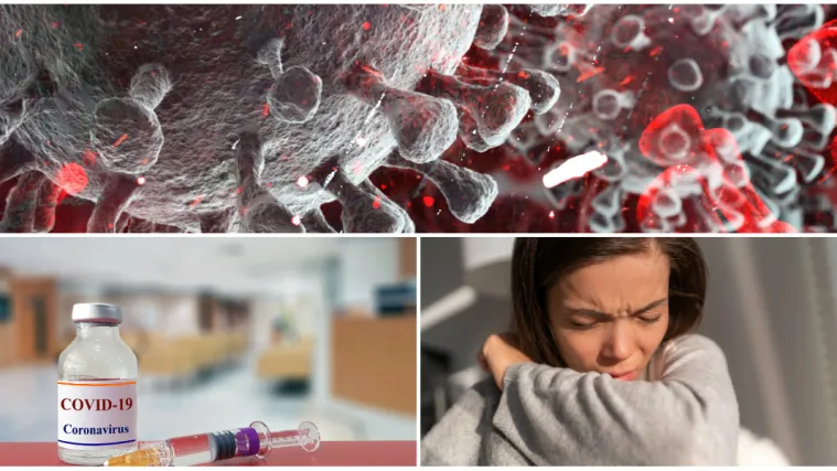 Konačno poznato za&scaron;to zaraženi koronavirusom gube njuh? 'Ovo bi nas moglo dovesti do terapija kojima bismo pobijedili zarazu!'