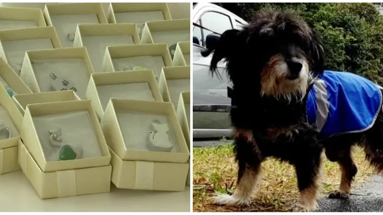 Neobična usluga u Spomengaju: Sada voljenog ljubimca možete zauvijek imati blizu svog srca