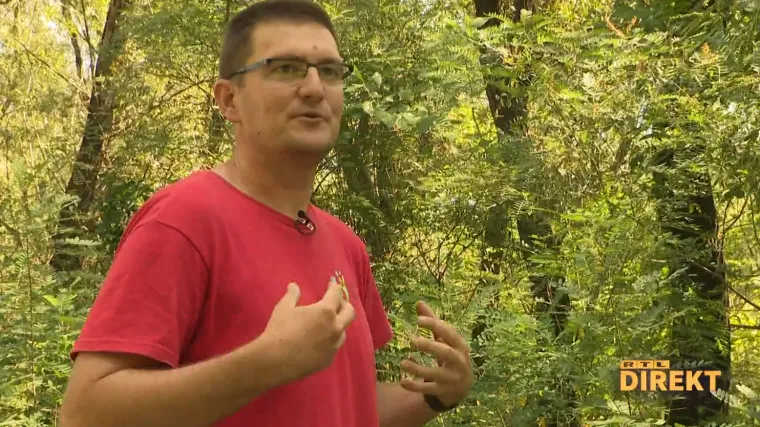 Proveli smo dan s čovjekom čiji je posao da ga bodu komarci: Na&scaron; reporter je u 15 minuta zaradio 159 uboda