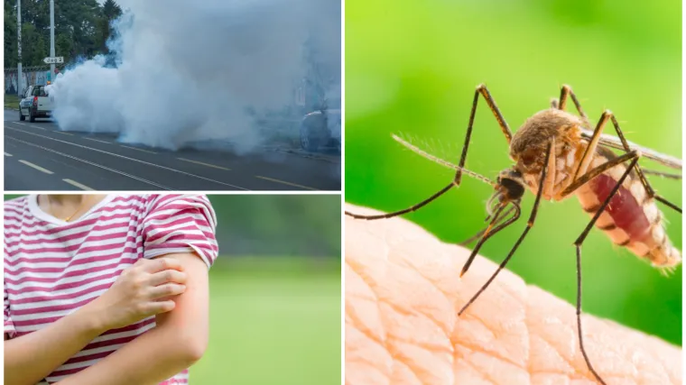 Zapra&scaron;ivanje odgođeno, a razlog bi mogao razljutiti građane