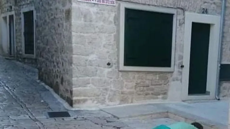 'Sad će Austrijanci reći kako padamo ničice od Covida'