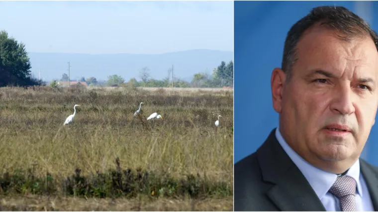 Dru&scaron;tvo za za&scaron;titu ptica i prirode moli ministra Bero&scaron;a da zabrani upotrebu olovne sačme: 'Otrovno je i &scaron;tetno za okoli&scaron;!'