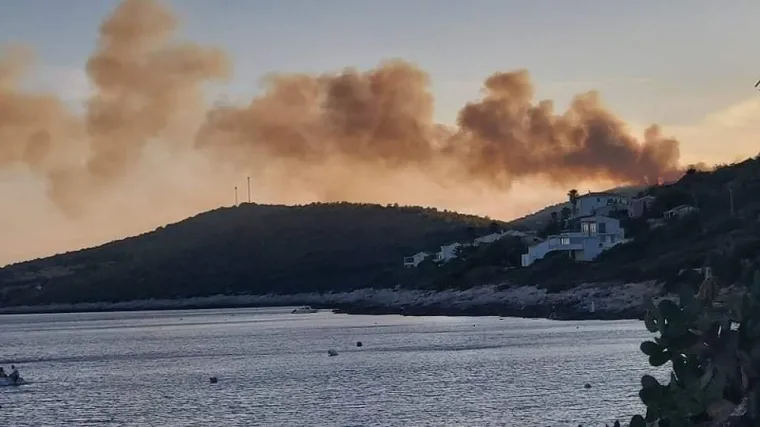 VIDEO Buknuo veliki požar na Visu: Vatrogasci su na terenu, bile su ugrožene kuće