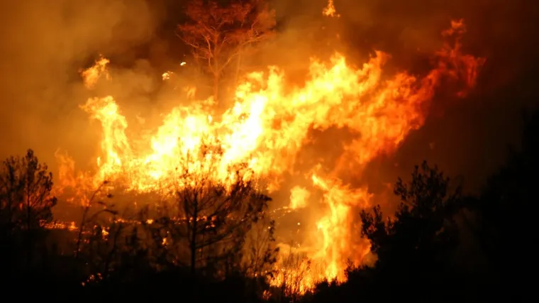Lokaliziran požar na Visu, opožareno je nekoliko maslinika