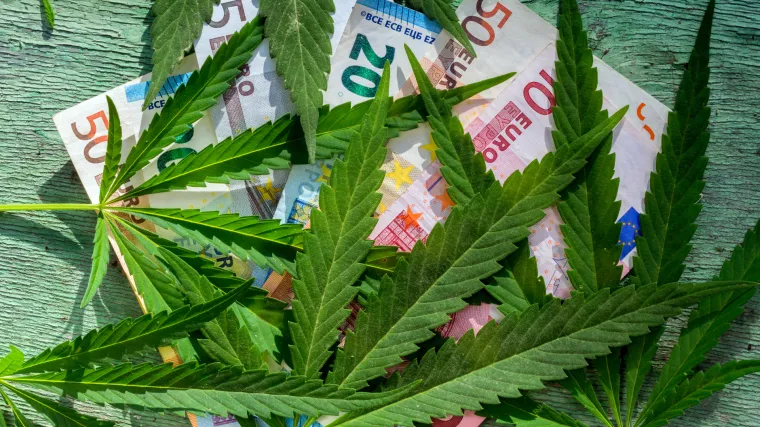 Podignuta je optužnica: Dvojac iz Zagreba 'skladi&scaron;tio' 33 kilograma marihuane i 45.000 eura