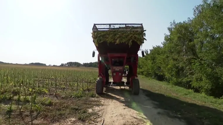 BAT prijeti odlaskom iz Hrvatske i zatvaranjem 1600 radnih mjesta, a Vlada ne reagira. Istražili smo pozadinu prijetnje