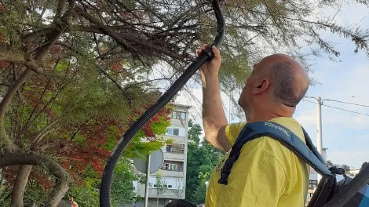 Pčele na zemlji žive preko 80 milijuna godina, za&scaron;to su sad ugrožene? Stručnjak obja&scaron;njava kako ih možemo ukloniti, ali da ih vi&scaron;e ne ugrožavamo