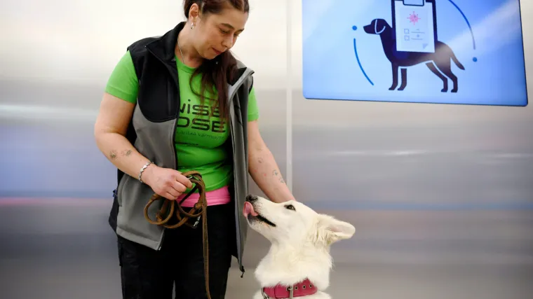 Novi pomoćnici u borbi protiv virusa: U Helsinkiju testiraju pse koji bi mogli nanjušiti koronu