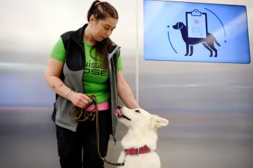 Novi pomoćnici u borbi protiv virusa: U Helsinkiju testiraju pse koji bi mogli nanjušiti koronu