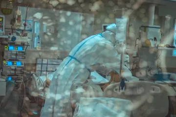 Panamski liječnici u programu razvoja novih modela respiratora koriste - svinje