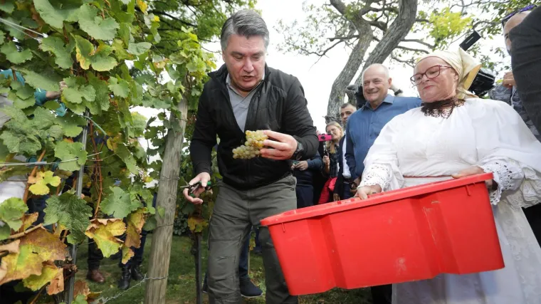 Stalna rubrika Direkta: Čudnovata struja svijesti na&scaron;eg predsjednika iliti dnevni stand up Zorana Milanovića